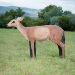 Cible 3D Wildcrete Duiker