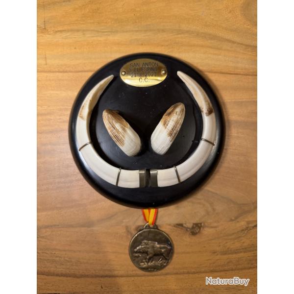 Trophe de sanglier Mdaille d'or