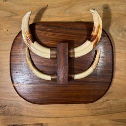 Trophée défense de phacochère