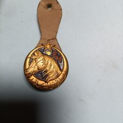 Insigne établissement hippique d Afrique du nord