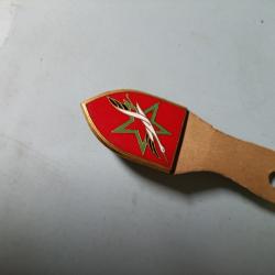 Insigne Forces Françaises au Maroc, AFN