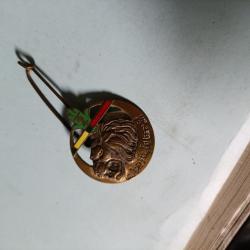 Insigne du Bataillon de Marche du 2e Régiment de Tirailleurs algériens