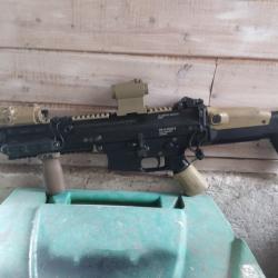 Scar L