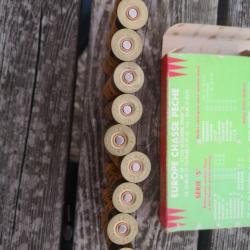 Cartouches magnum calibre 20