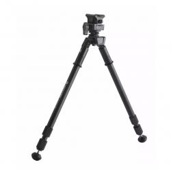Bipied Vanguard