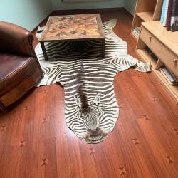 Vends peau de zèbre