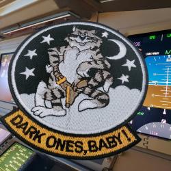 US NAVY VFA-31 Escadron Chasseurs d'attaque F14 TOMCAT DARK 4a.