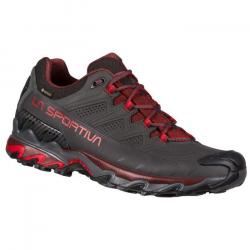 ULTRA RAPTOR LEATHER GTX CARBON/SPICE 46