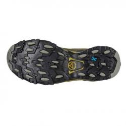 CHAUSSURE ULTRA RAPTOR II LEATHER GTX IVY CEDAR