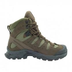 Chaussures Salomon Quest Tracker GTX Marron 43 1/3