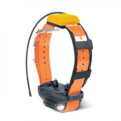 COLLIER SUPPLEMENTAIRE DOGTRA PATHFINDER 2 BLEU