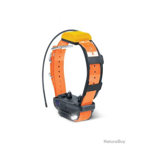 COLLIER SUPPLEMENTAIRE DOGTRA PATHFINDER 2 VERT