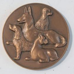 Médaille bronze Chiens Exposition Canine internationale d'Évian