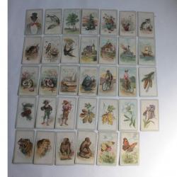 Jeu de cartes illustrée Schwarzer Peter Dondorf 1890