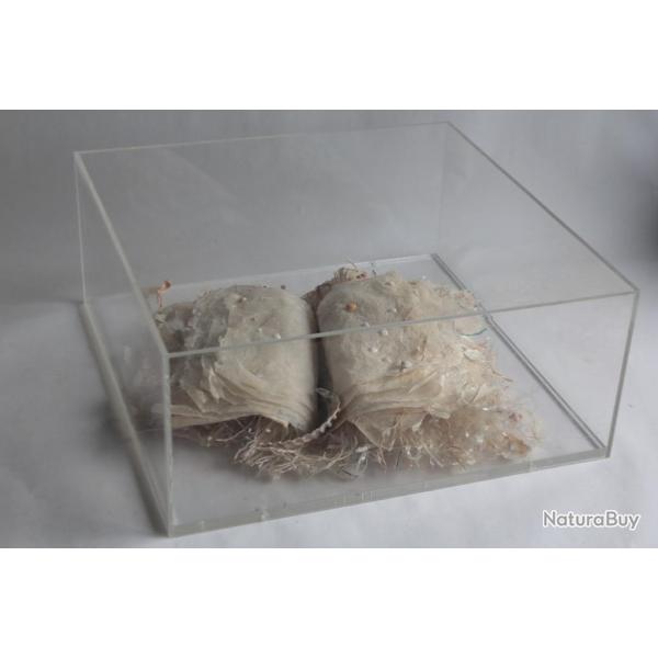 VIVIANE FONTAINE Sculpture Livre papier 1992 Suisse