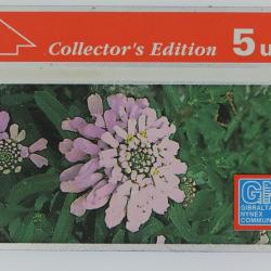 Télécarte L&G dummy Candytuft Collector's Edition Gibraltar