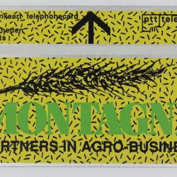 Télécarte L&G dummy Montagne Pays-Bas