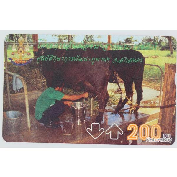 Tlcarte L&G dummy King's Project 6 4/4 Thalande 1996