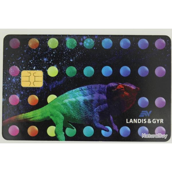 Tlcarte  puce Test L&G Mira Cameleon Suisse 1996