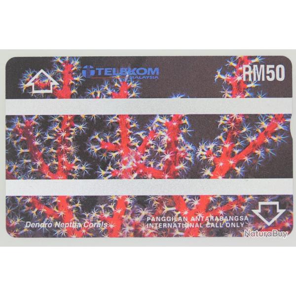Tlcarte L&G dummy Dendro Neptia Corals Malaisie