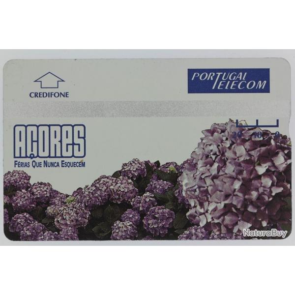 Tlcarte L&G dummy Aores Portugal
