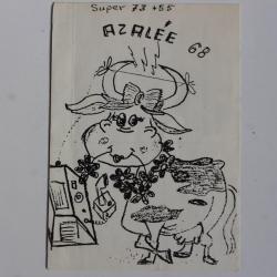 Carte postale QSL Radio Amateur Suisse Azalée 68