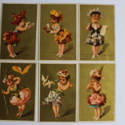 Chromos fleurs Café de la bourse - Charles Mehl (6)