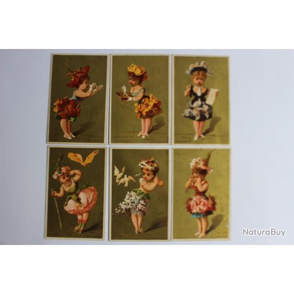 Chromos fleurs Caf de la bourse - Charles Mehl (6)