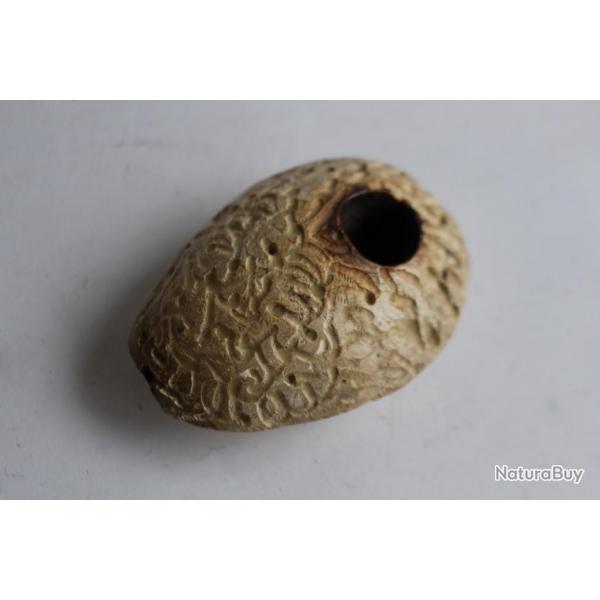 Ancienne Pipe cume sculpte