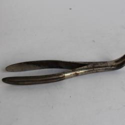 Davier dentaire WALTER Pince dentiste Médecine