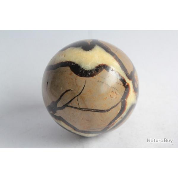 Sphre Septaria Pierre de Dragon