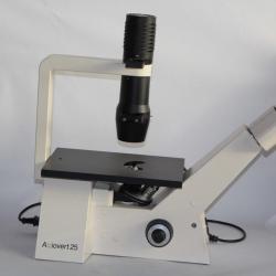 AXIOVERT 25 Carl Zeiss Microscope inversé à contraste de phase
