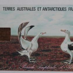 Télécarte à puce Terres Australes TAAF4 Albatros 1995