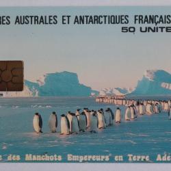 Télécarte à puce Terres Australes TAAF5 Manchots Empereur 1995