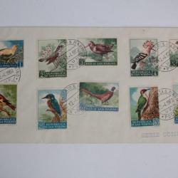 Enveloppe FDC San marino birds Fauna Avicola venezia 1960