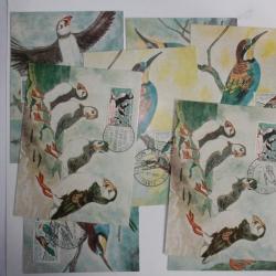 Lot 8 Carte Maximum oiseaux guepier et macareux 1960