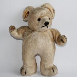 Ancien ours en peluche