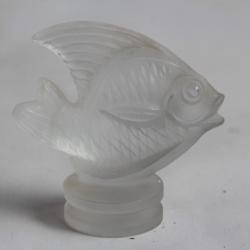 SABINO Petit Poisson verre