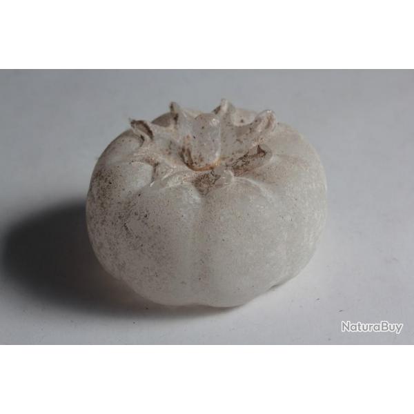 Giovanni CENEDESE Sculpture Tomate verre souffl Murano