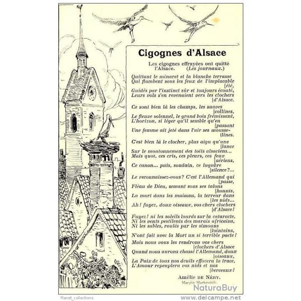 Illustrateur Marylie MARKOVITCH Pome DE NERY