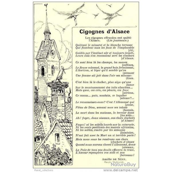 Illustrateur Marylie MARKOVITCH Pome DE NERY