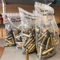 Lot de douilles 300 Win-Mag RWS occasion