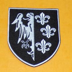 TISSU PATCH : DIVISION CHARLEMAGNE NOIR , DIAMETRE 9 CM , BON ETAT VOIR PHOTOS . POUR TOUT RENSEIGNE