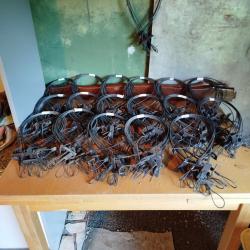 Lacet pour piège BELISLE