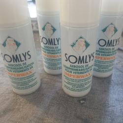 SOMLYS nettoyage