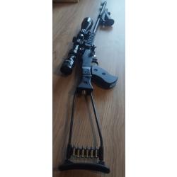 Chiappa 22lr