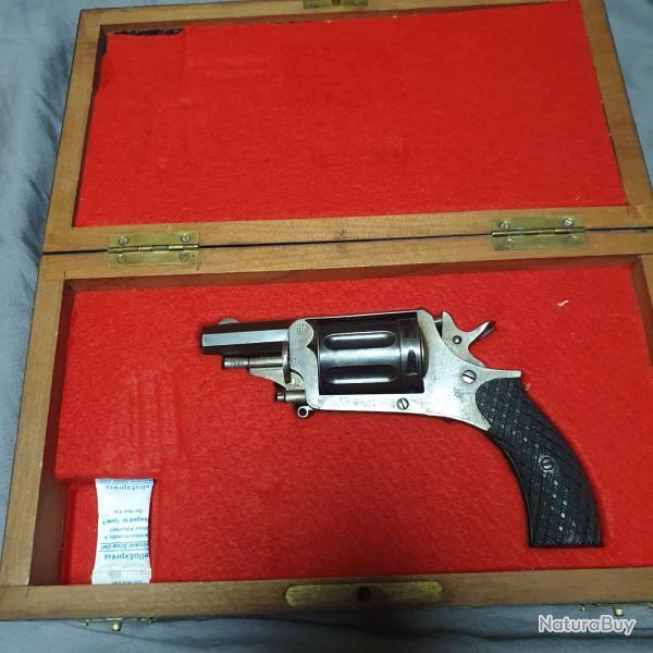 Revolver Velodog parfait tat