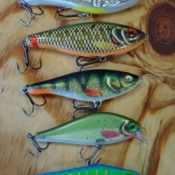 LOT POISSONS NAGEURS - OCCASIONS