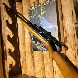 ENCHERES 1 - GEVARM A6 22LR + LUNETTE 4X15