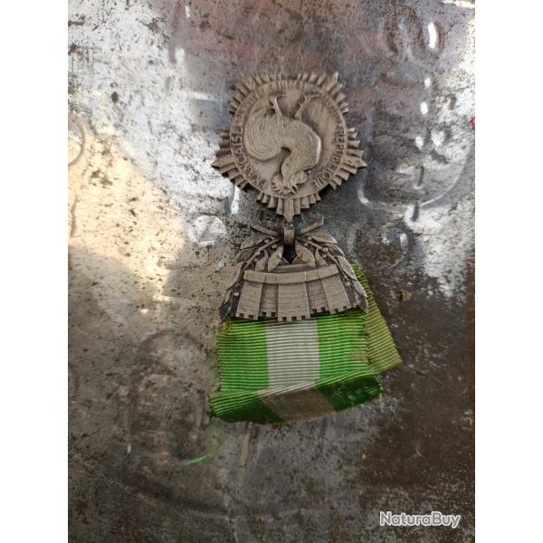 Mdaille de collectivit locale